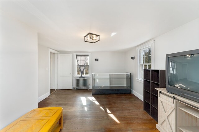 interior space featuring wood finished floors, radiator heating unit, a healthy amount of sunlight, and baseboards