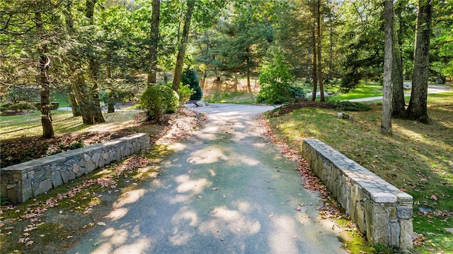 view of property's community featuring aphalt driveway