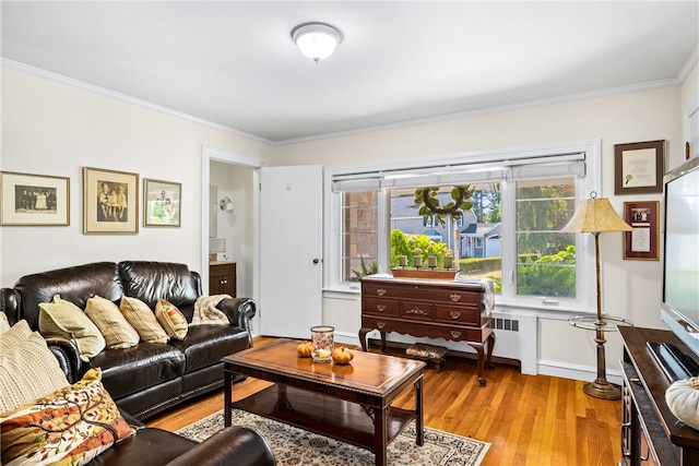 living room featuring crown molding, light wood-style floors, and baseboards