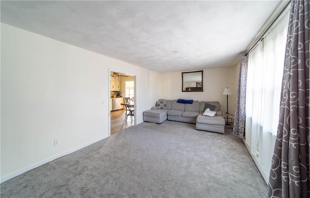 living area featuring a textured ceiling, baseboards, and carpet