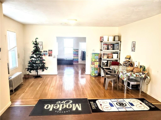 office space with radiator, baseboards, and wood finished floors