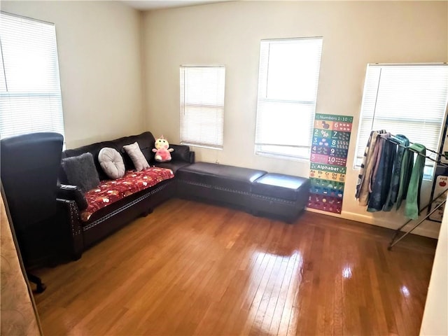 living room featuring hardwood / wood-style flooring