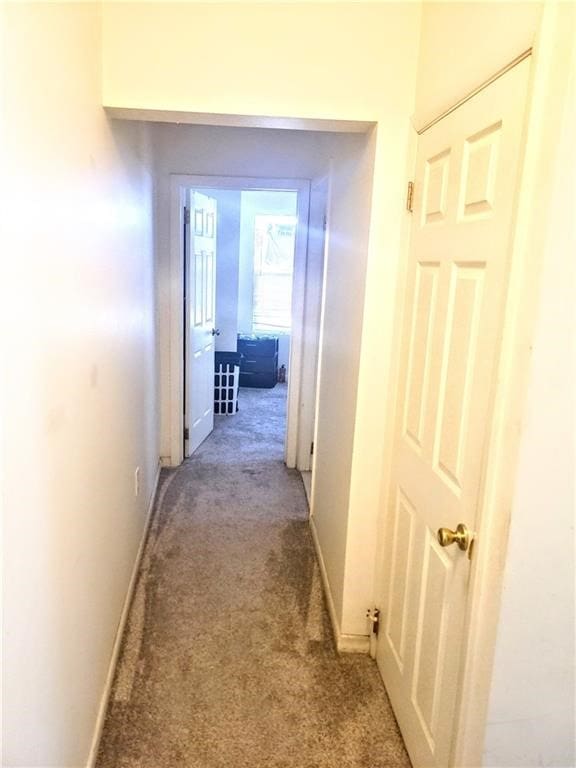 corridor featuring carpet flooring and baseboards