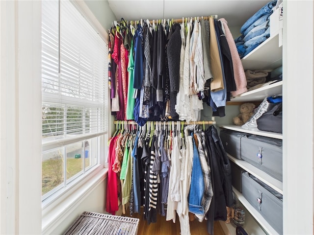 walk in closet featuring wood finished floors