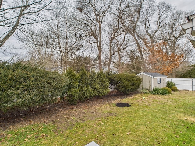 view of yard featuring a storage unit, an outdoor structure, and fence