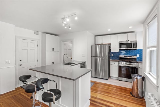 kitchen with light wood finished floors, radiator, a breakfast bar, stainless steel appliances, and a sink