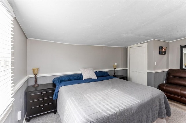 carpeted bedroom with a wainscoted wall, lofted ceiling, a closet, and a textured ceiling