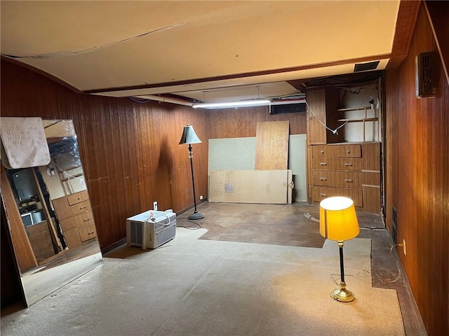 finished basement with wood walls