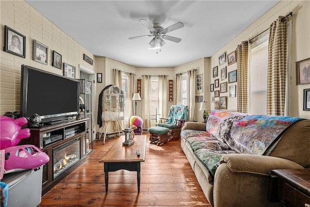 living room with ceiling fan and wood-type flooring