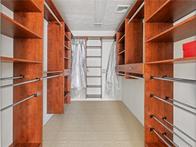 spacious closet with visible vents