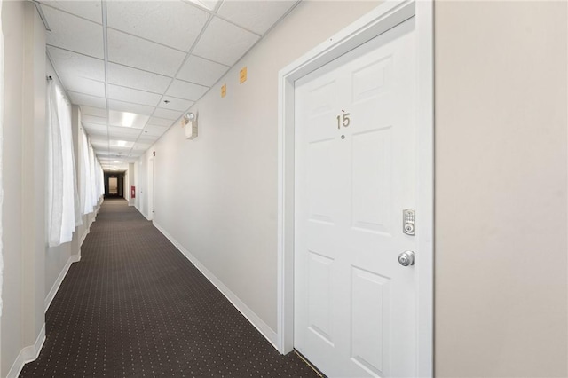 corridor with a paneled ceiling, carpet floors, and baseboards