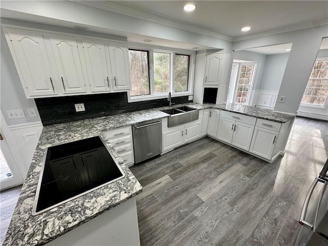 kitchen with stainless steel dishwasher, black electric cooktop, a wainscoted wall, and a sink