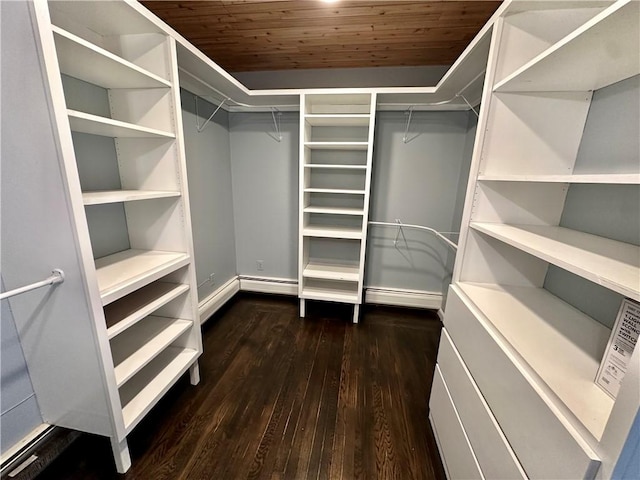 walk in closet featuring dark wood-style flooring