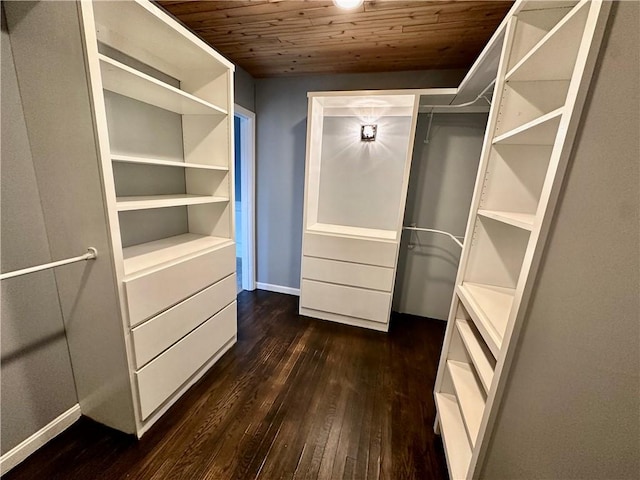 spacious closet featuring dark wood-type flooring