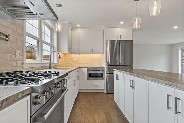 kitchen featuring under cabinet range hood, a sink, wood finished floors, appliances with stainless steel finishes, and white cabinets