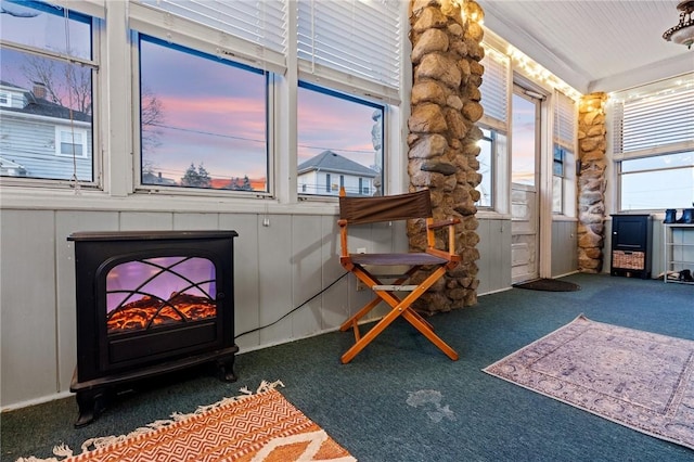 interior space featuring a wood stove and carpet flooring