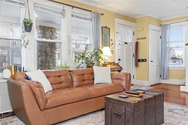 living area with a healthy amount of sunlight, wood finished floors, and crown molding