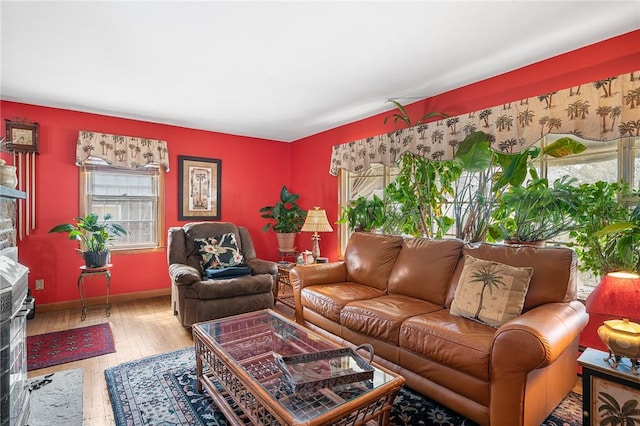 living area featuring baseboards and wood-type flooring