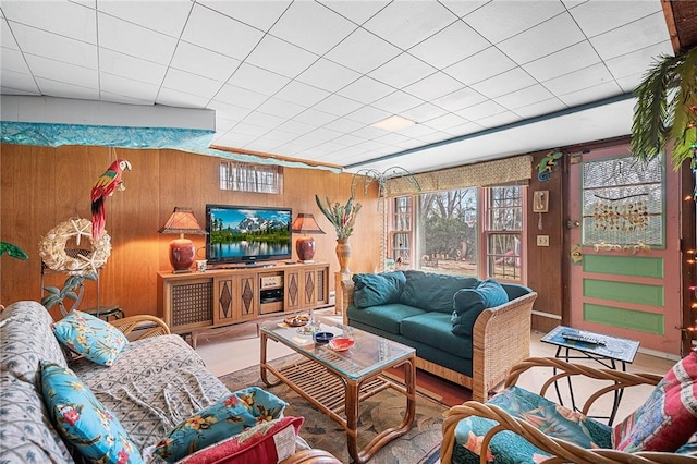 living area featuring wood walls