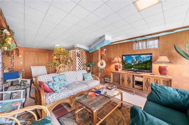 living area with wooden walls