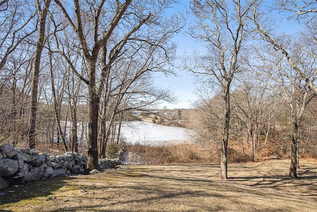 view of yard featuring a water view