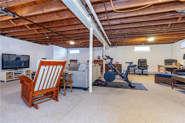 basement with carpet floors