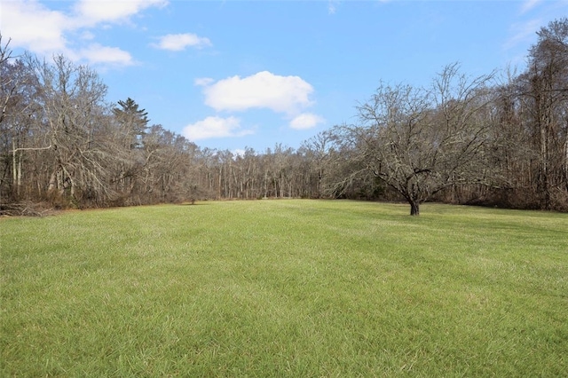 view of grassy yard featuring a wooded view