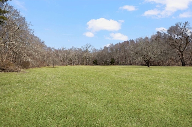 view of green lawn with a forest view