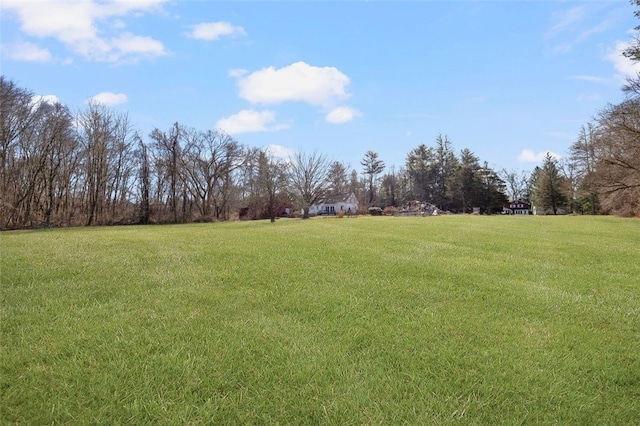 view of green lawn