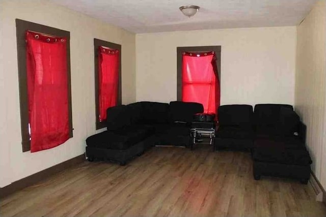 living room featuring wood finished floors