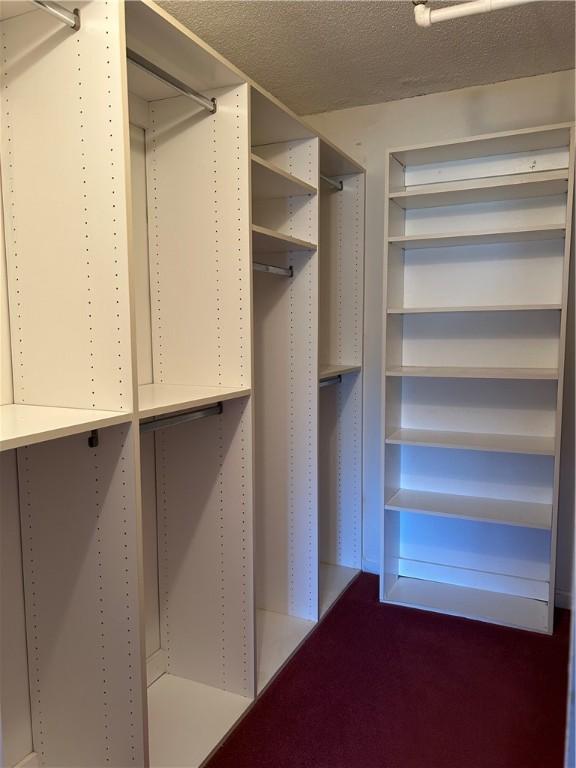 spacious closet featuring carpet floors