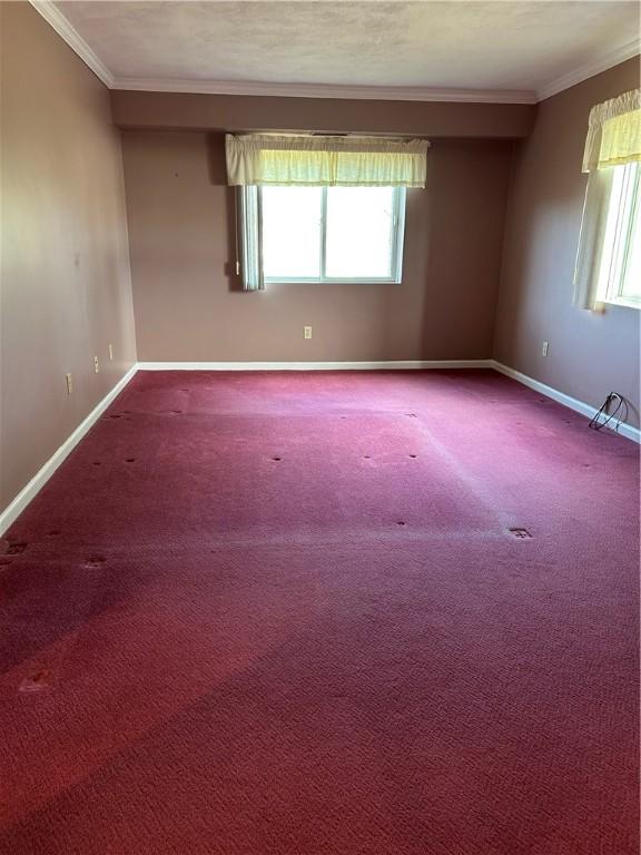 carpeted empty room featuring plenty of natural light, baseboards, and ornamental molding