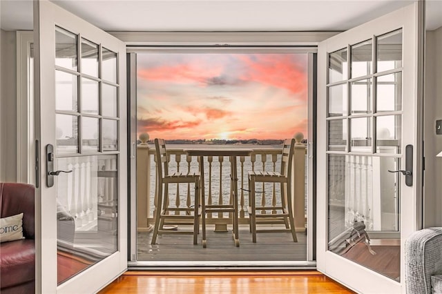 entryway featuring a wealth of natural light and wood finished floors