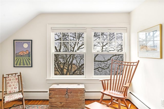 living area featuring a baseboard radiator, vaulted ceiling, and a wealth of natural light