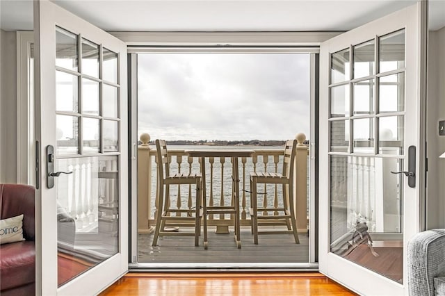 doorway with a healthy amount of sunlight and wood finished floors