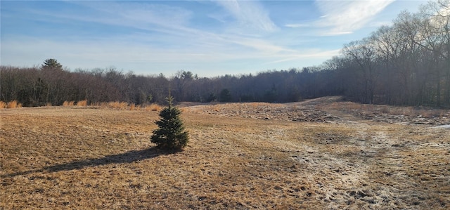 view of landscape with a forest view