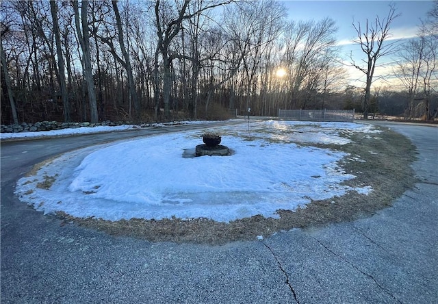 view of yard covered in snow