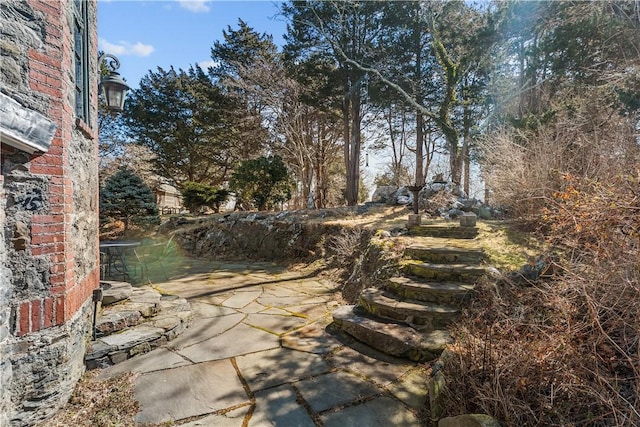 view of yard with a patio area