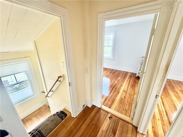 interior space featuring baseboards and hardwood / wood-style floors