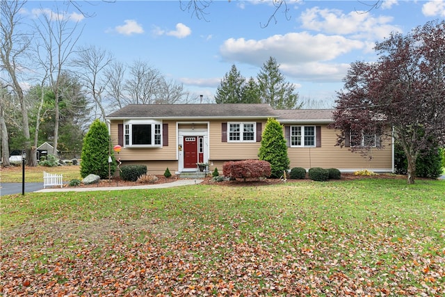 bi-level home with a front lawn