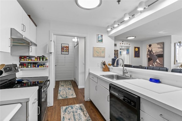 kitchen featuring electric stove, under cabinet range hood, a sink, black dishwasher, and light countertops