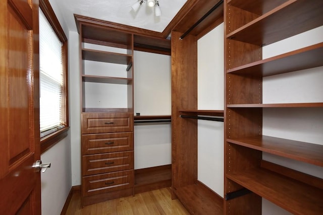 walk in closet featuring light wood-style floors