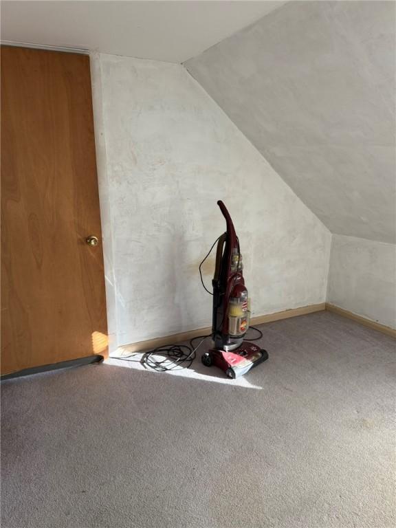 additional living space featuring carpet floors and lofted ceiling