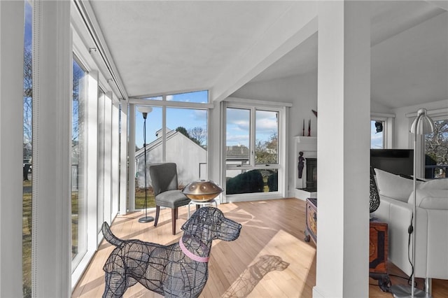 sunroom featuring a fireplace with raised hearth and vaulted ceiling