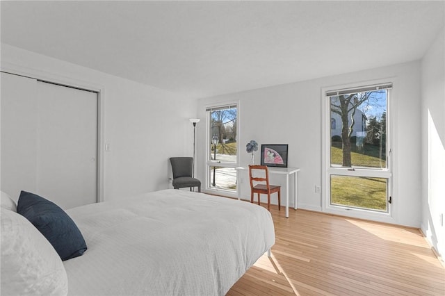 bedroom featuring a closet and light wood-style floors