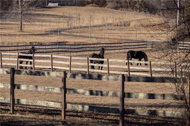 view of yard with a rural view and fence