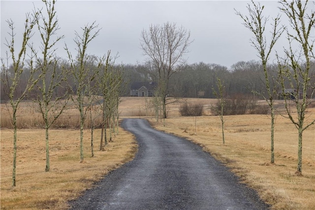 view of road with a rural view and driveway