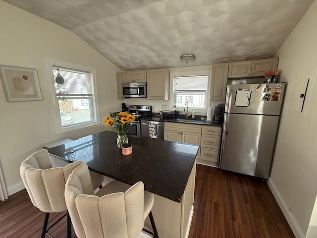 kitchen with dark countertops, dark wood finished floors, vaulted ceiling, stainless steel appliances, and a sink