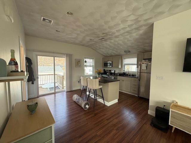 kitchen featuring dark wood finished floors, visible vents, appliances with stainless steel finishes, and a wealth of natural light