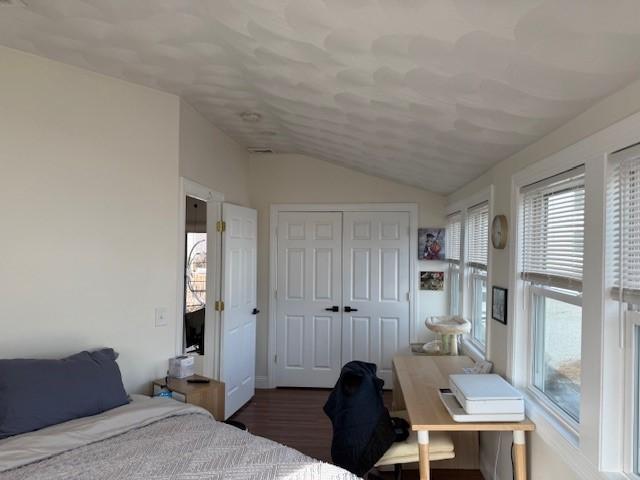 bedroom featuring lofted ceiling, wood finished floors, and a closet